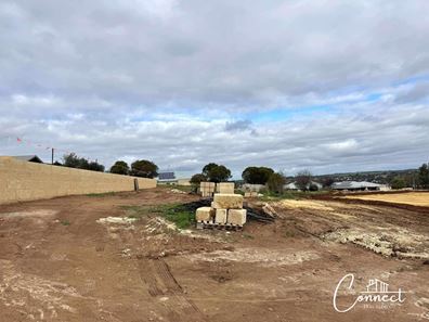 16 Gillett Road, Northam WA 6401