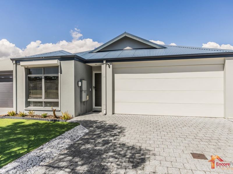 16 Buffalo Street, Baldivis