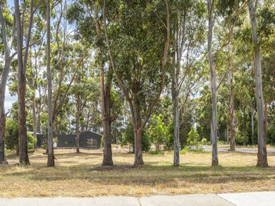 45 McManus Circuit, Witchcliffe WA 6286