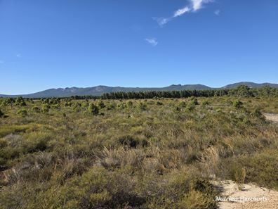 1578 Yellanup Road, Narrikup WA 6326