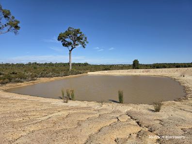 1578 Yellanup Road, Narrikup WA 6326