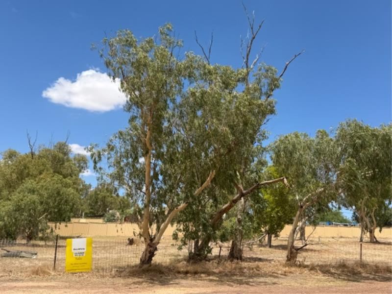 28 Midlands Road, Mingenew WA 6522