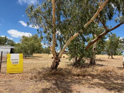28 Midlands Road, Mingenew WA 6522
