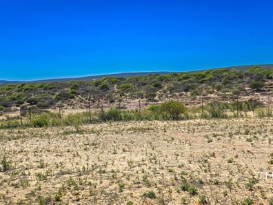 25 Darwinia Drive, Kalbarri WA 6536