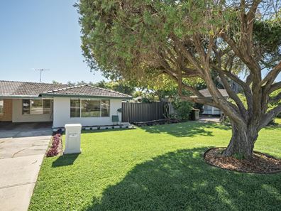 7 Waldorf Street, Carine WA 6020