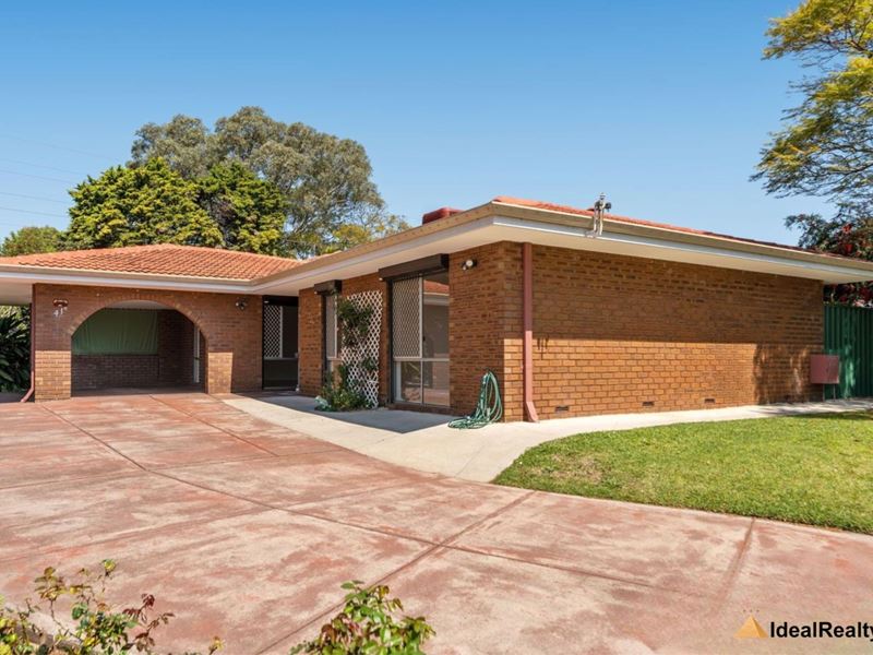 41 Tribute Street West, Shelley