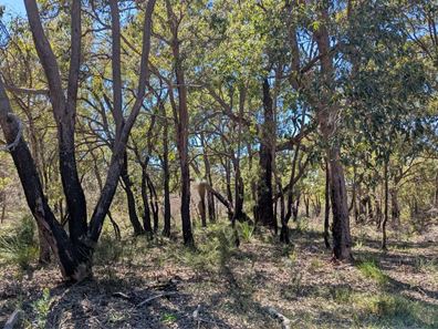 Lot 10 Jenkins Road, Bullsbrook WA 6084