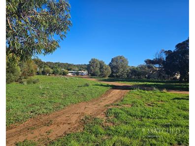 19 Watson Place, Dongara WA 6525