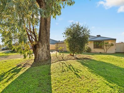 3 Adela Bend, Lakelands WA 6180