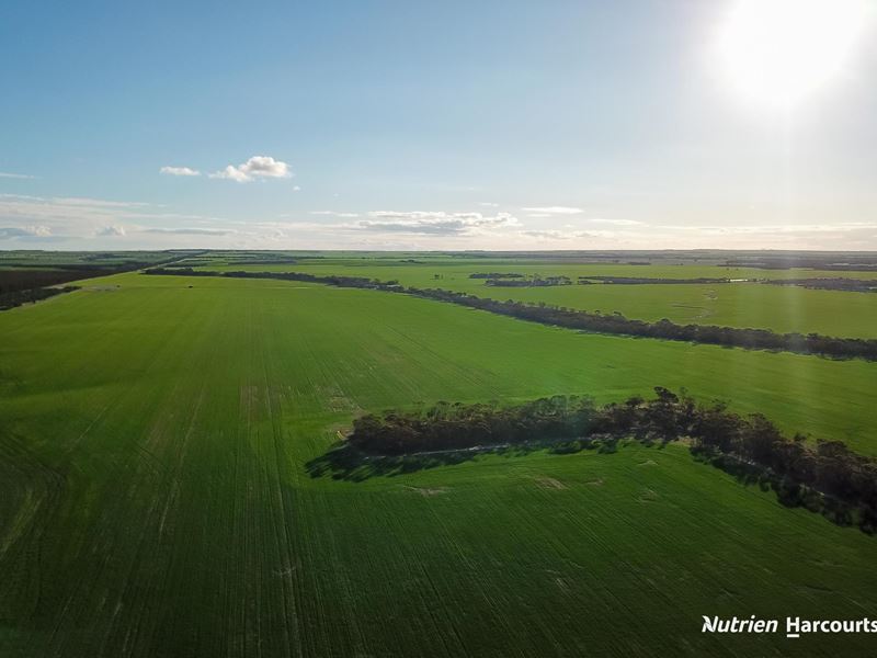 . POSSUM HILL & LEN'S BLOCK, Mindarabin