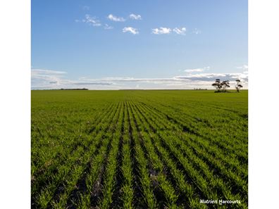 . POSSUM HILL & LEN'S BLOCK, Mindarabin WA 6336