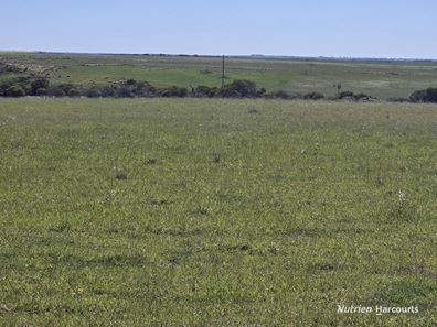 Lot 13 Port Gregory Road, Yallabatharra WA 6535