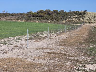 Lot 13 Port Gregory Road, Yallabatharra WA 6535