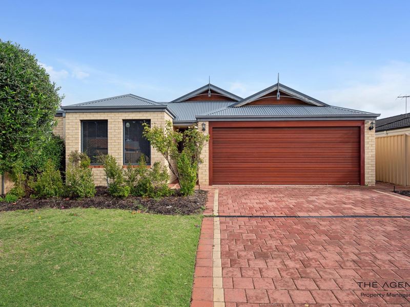19 Dewsbury Drive, Bertram WA 6167