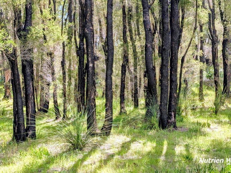 Lot 101 Chitna Road, Neergabby