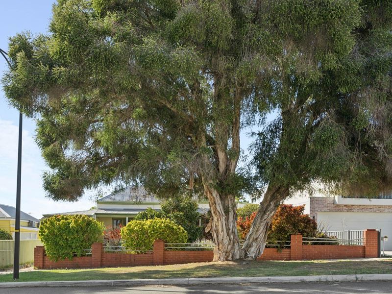 22 Hobart Street, North Perth WA 6006
