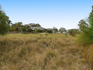 295 Karoborup Road, Carabooda WA 6033