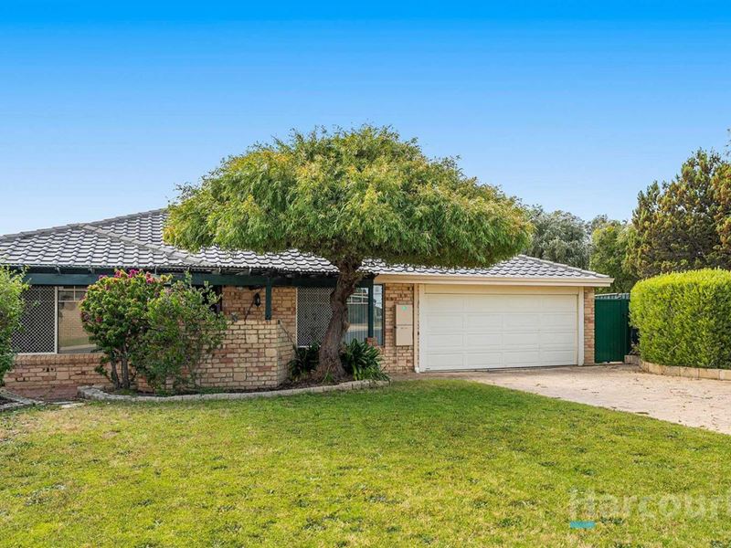 37 Trephina Mews, Clarkson WA 6030