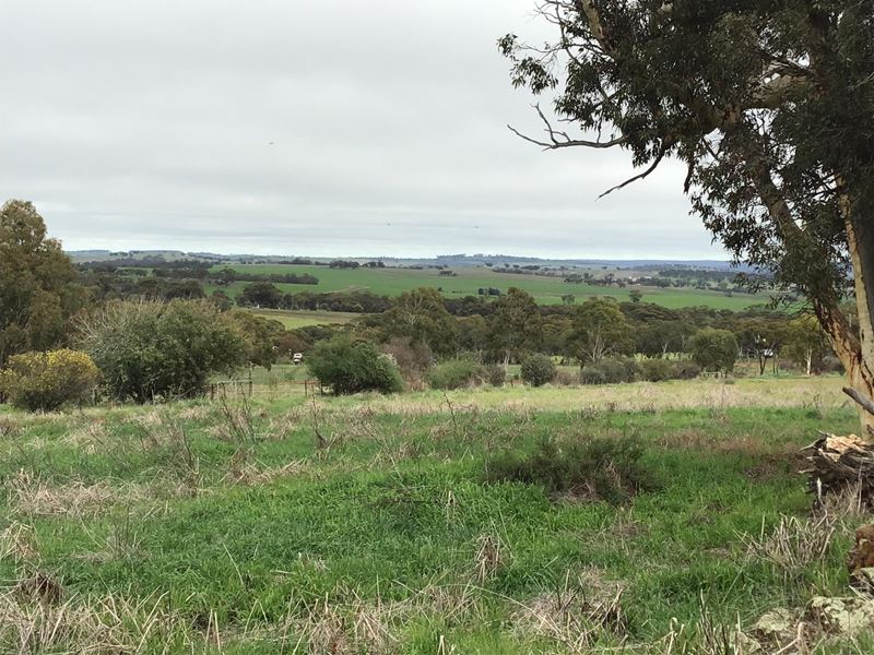 Lot 43 Lucas Court, Bejoording