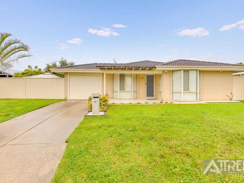 12 Seminole Gardens, Seville Grove WA 6112