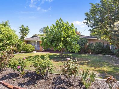 17 Winship Avenue, Wanneroo WA 6065