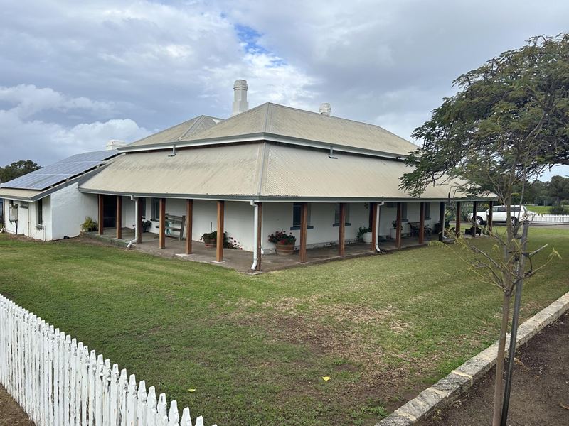 50 Waldeck Street, Dongara