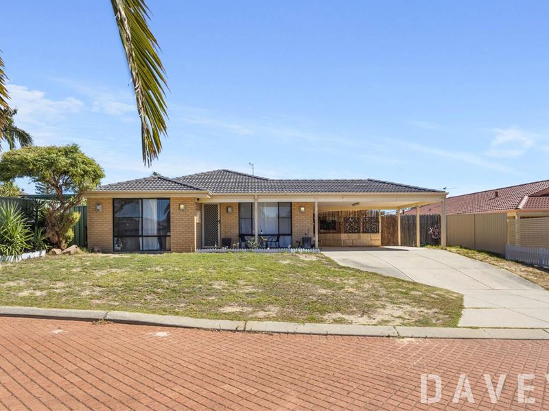 38 Mangrove Circuit, Banksia Grove WA 6031