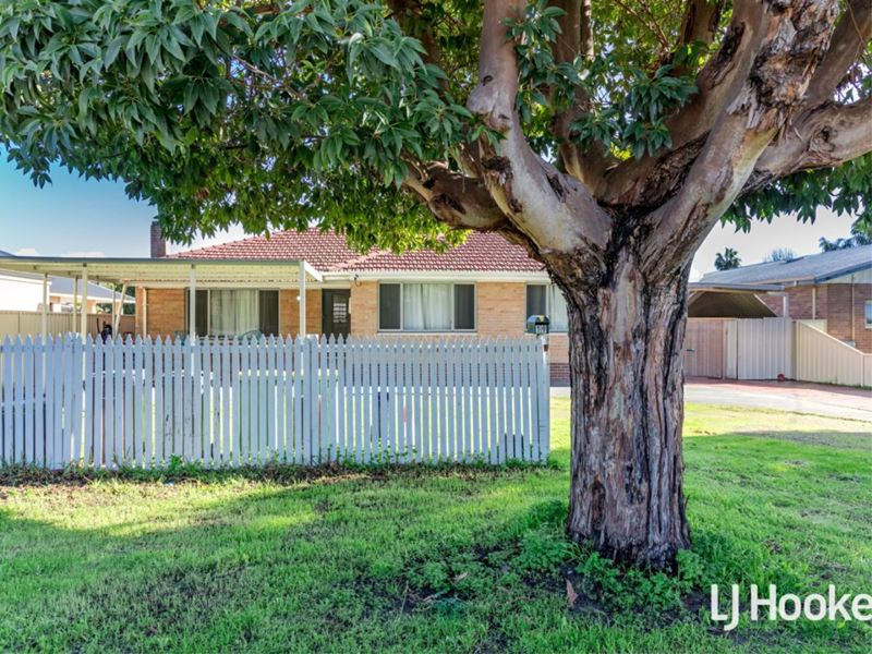 19 Selby Street, Thornlie WA 6108