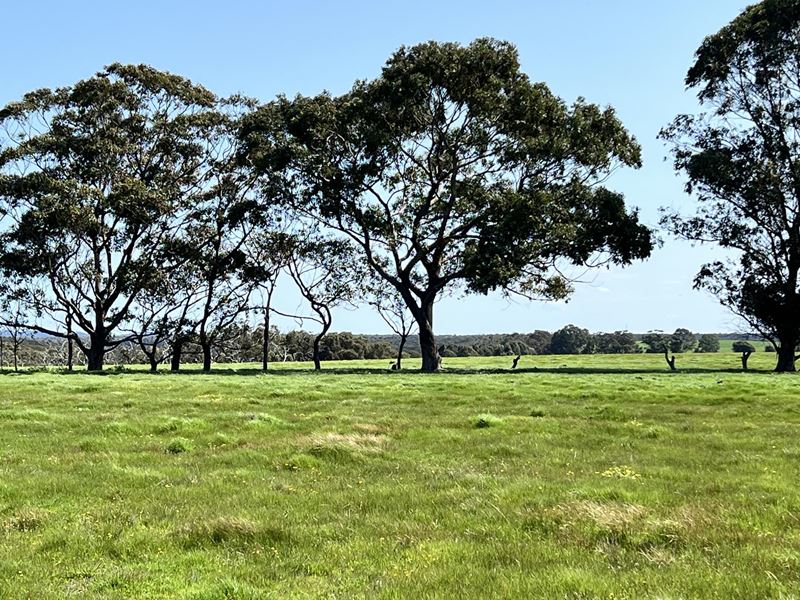 Lot 251,  STAGE 2 - Albany Views Private Estate - Albany Views Private Estate, Drome, Albany WA 6330