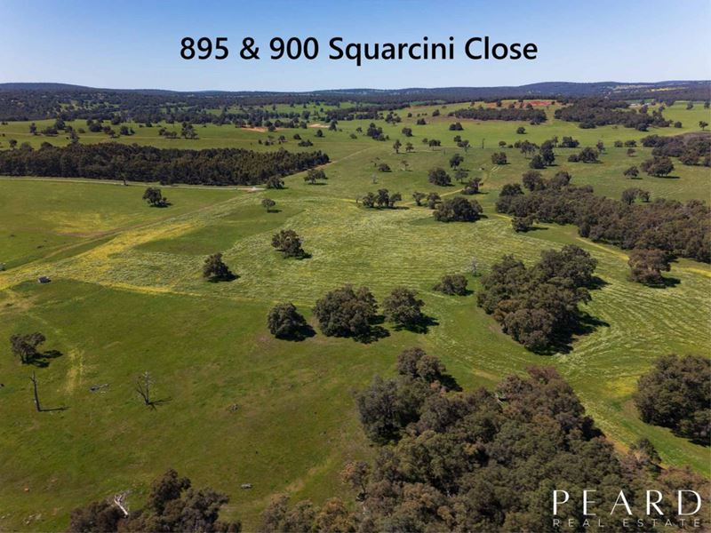 895 Squarcini Close, Bailup WA 6082