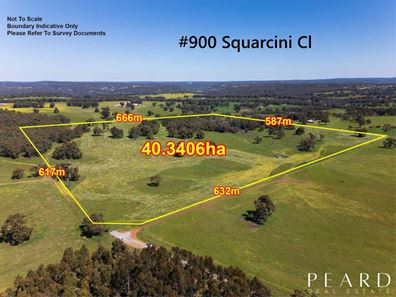 895 Squarcini Close, Bailup WA 6082