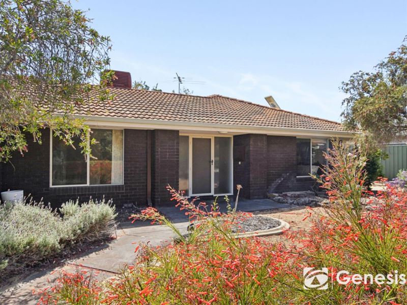 40 David Crescent, Hillarys WA 6025