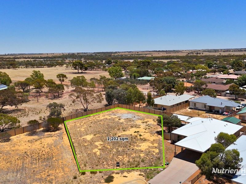 13 Carrington Way, Merredin WA 6415