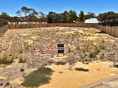 13 Carrington Way, Merredin WA 6415