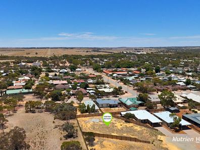 13 Carrington Way, Merredin WA 6415