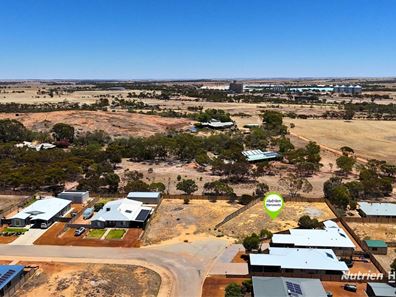 13 Carrington Way, Merredin WA 6415