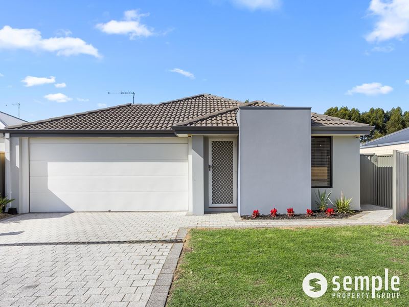 37 Jubilee Avenue, Success