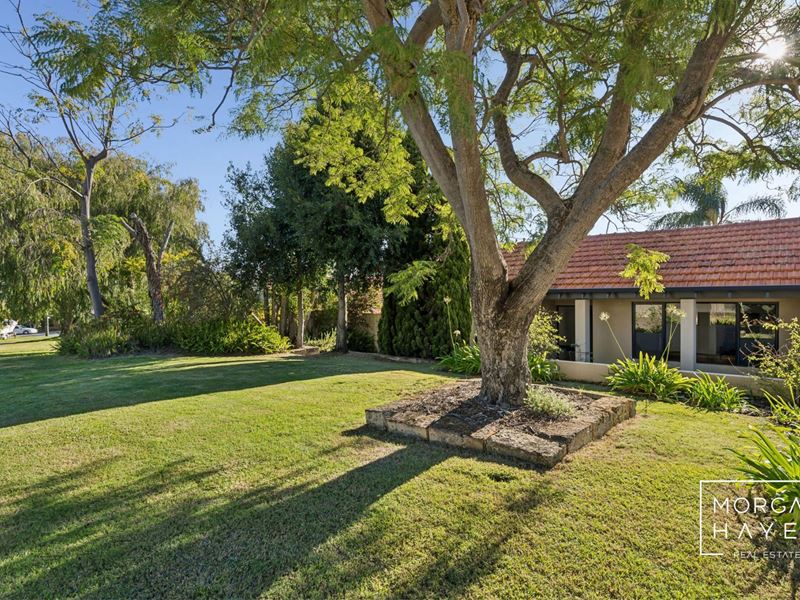 32 More Crescent, Bull Creek WA 6149