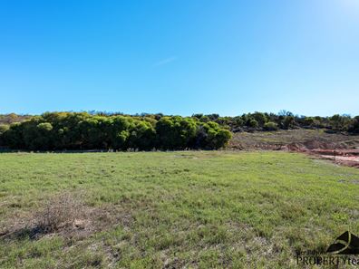 56 Premier Circle, Dongara WA 6525