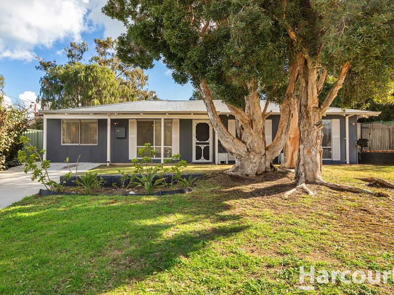 59 Linville Street, Falcon