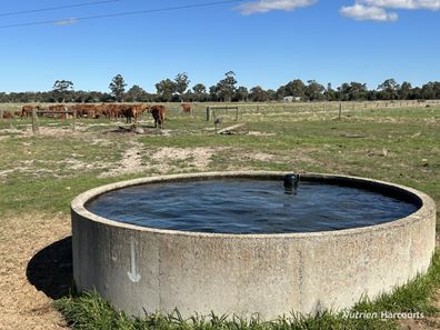 404 Readhead Road, North Dandalup WA 6207