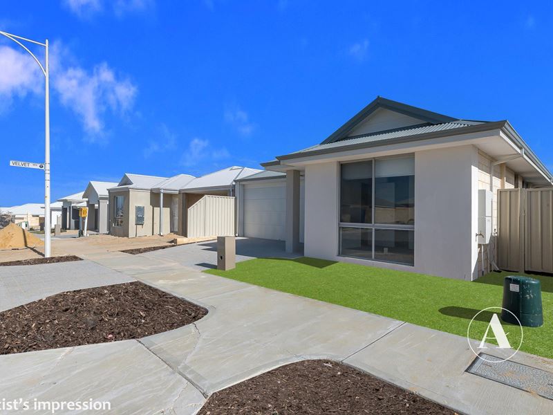 61 Cashmere Chase, Alkimos WA 6038