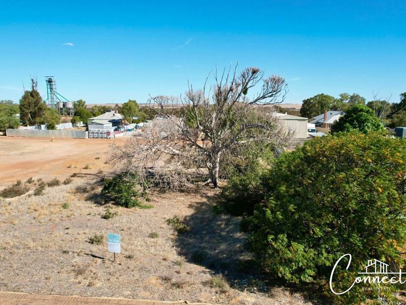 46 Fairbank Street, Ballidu WA 6606