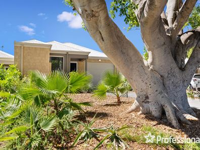 44 Birchley Crescent, Balga WA 6061