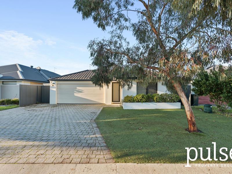 31 Rickett Street, Haynes