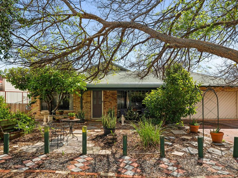 10 Daylesford Elbow, Jane Brook WA 6056