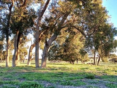 3473 Bindoon-Moora Road, Mogumber WA 6506