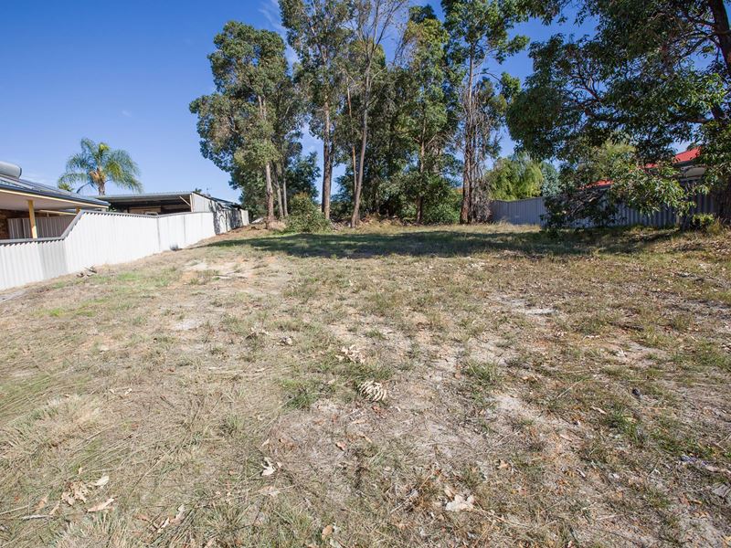 12 Bolton Way, Collie