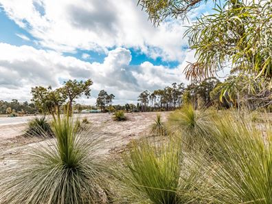 Lot/171 Hardenbergia View, Donnybrook WA 6239