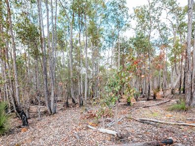 Lot/171 Hardenbergia View, Donnybrook WA 6239